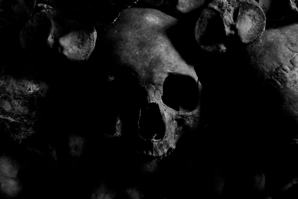 Eerie black and white skull representing the torment and demonic oppression of alcohol withdrawal